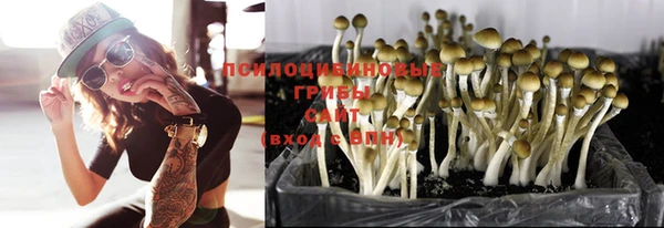 MDMA Premium VHQ Богородицк