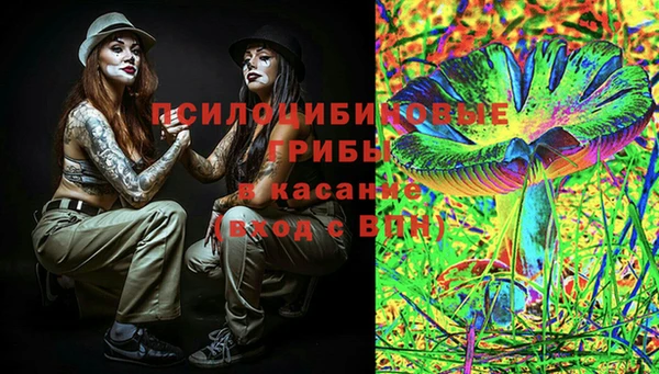 метадон Богданович