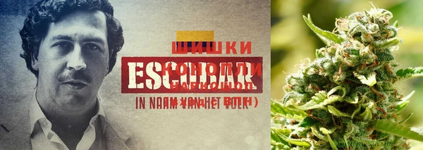 меф Бронницы
