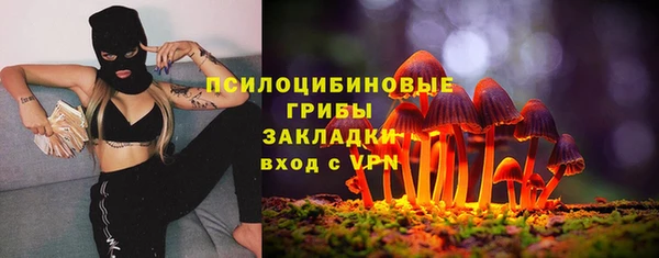 мдма Богородск